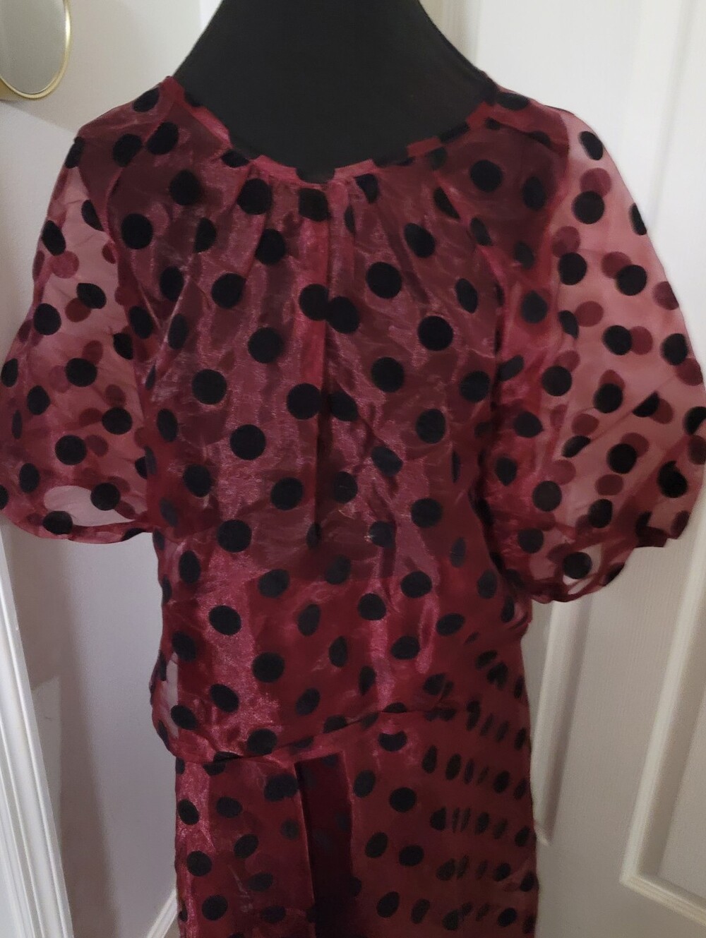 O2 Collection Burgundy Sheer Polka Dot Blouse with Puff Sleeves & Skirt